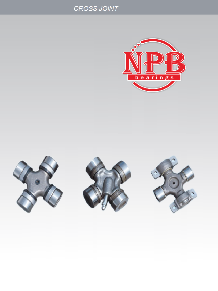 NPB Cross Joint Catalogue 2024